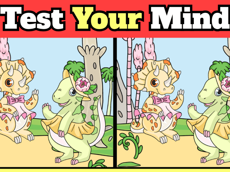 Find the Difference Keep Your Mind Sharper than a Dinosaur&nbsp;Fossil