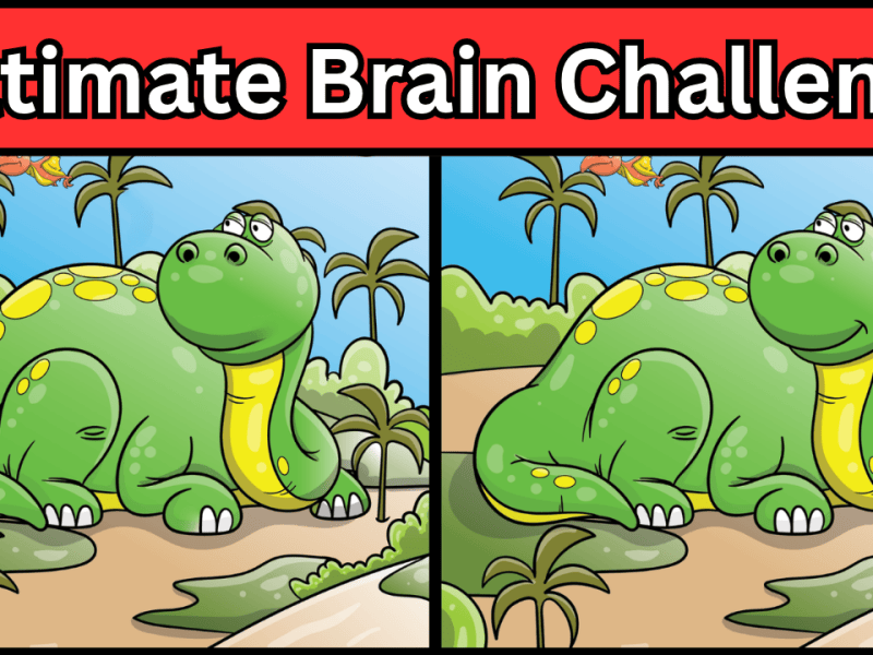 Don’t Let Your Brain Become an Ancient Fossil LIVE Find the Difference Mega&nbsp;Challenge