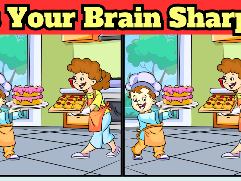 Are Your Skills Hungry of Focused? Visual Puzzle&nbsp;Challenge